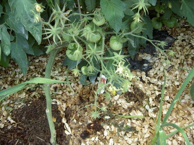 Photo Sharing and Video Hosting at Photobucket